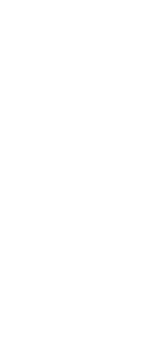 Imagotipo Devinums _ blanco